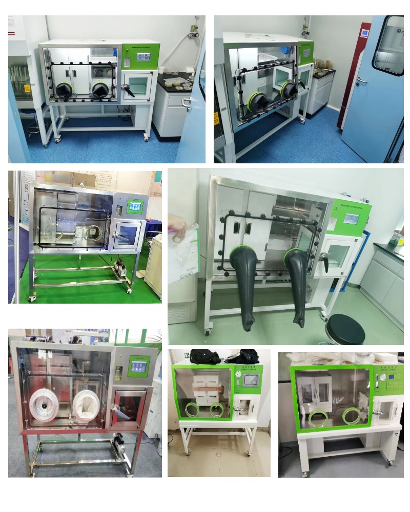 WEIAI Anaerobic Workstation LA - огляд і ціна Incubator Co2 Lab