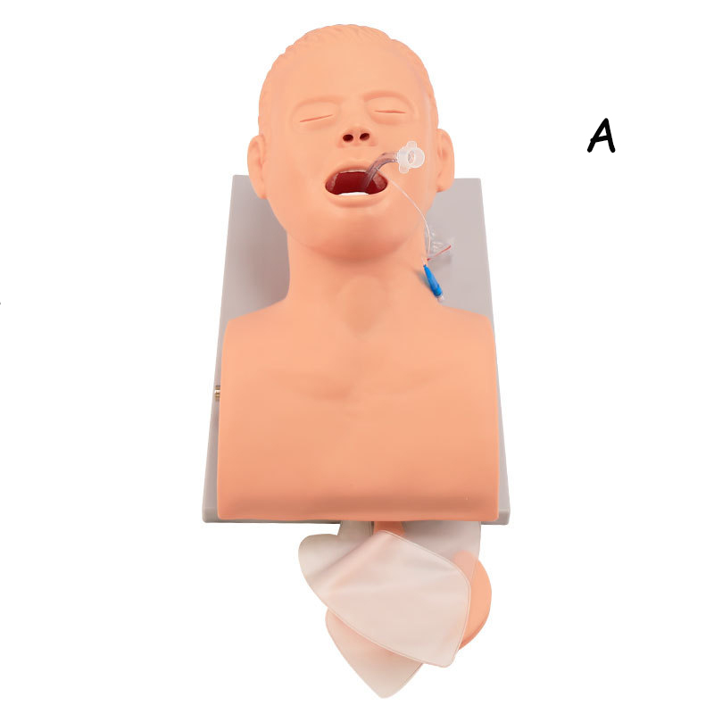PVC Adult Intubation Manikin T - огляд і ціна Medical Lab Management