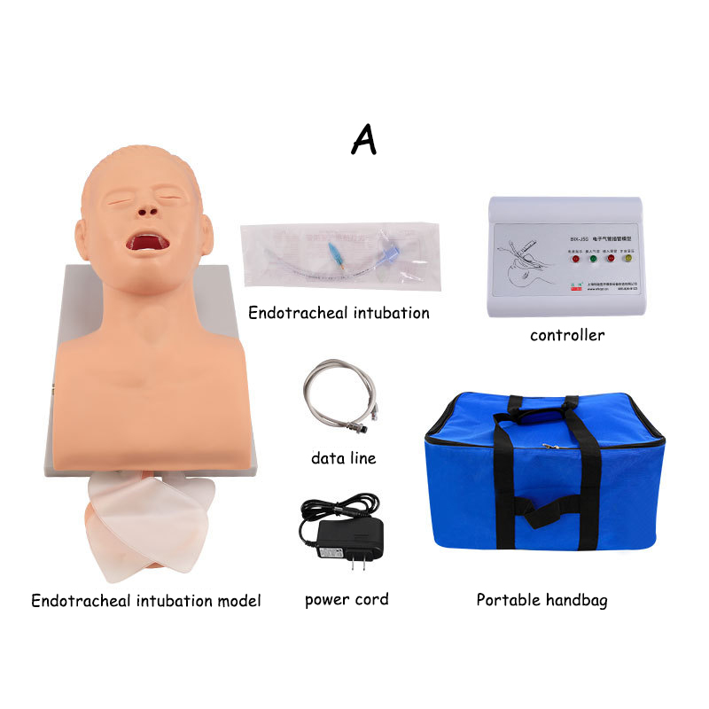 PVC Adult Intubation Manikin T - огляд і ціна Medical Lab Management