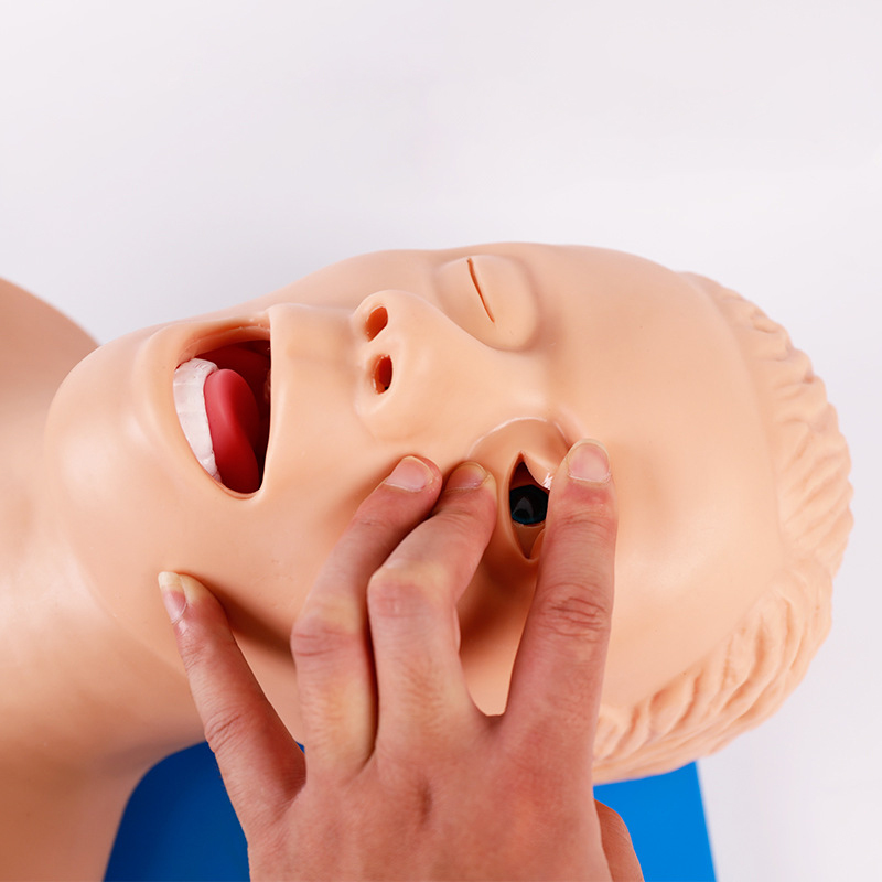 PVC Adult Intubation Manikin T - огляд і ціна Medical Lab Management