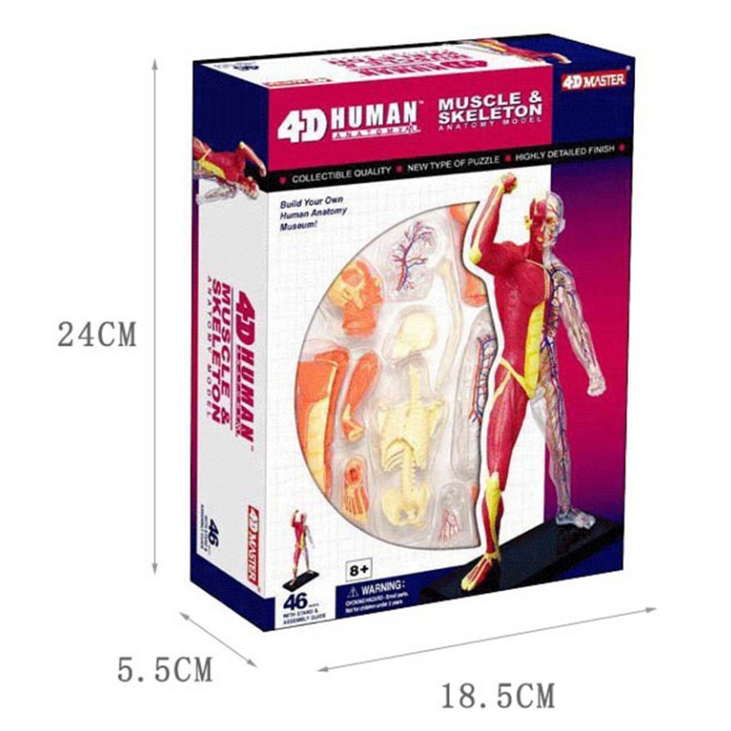 4d Master Human Muscle Skeleto - огляд і ціна Medical Lab Assistant