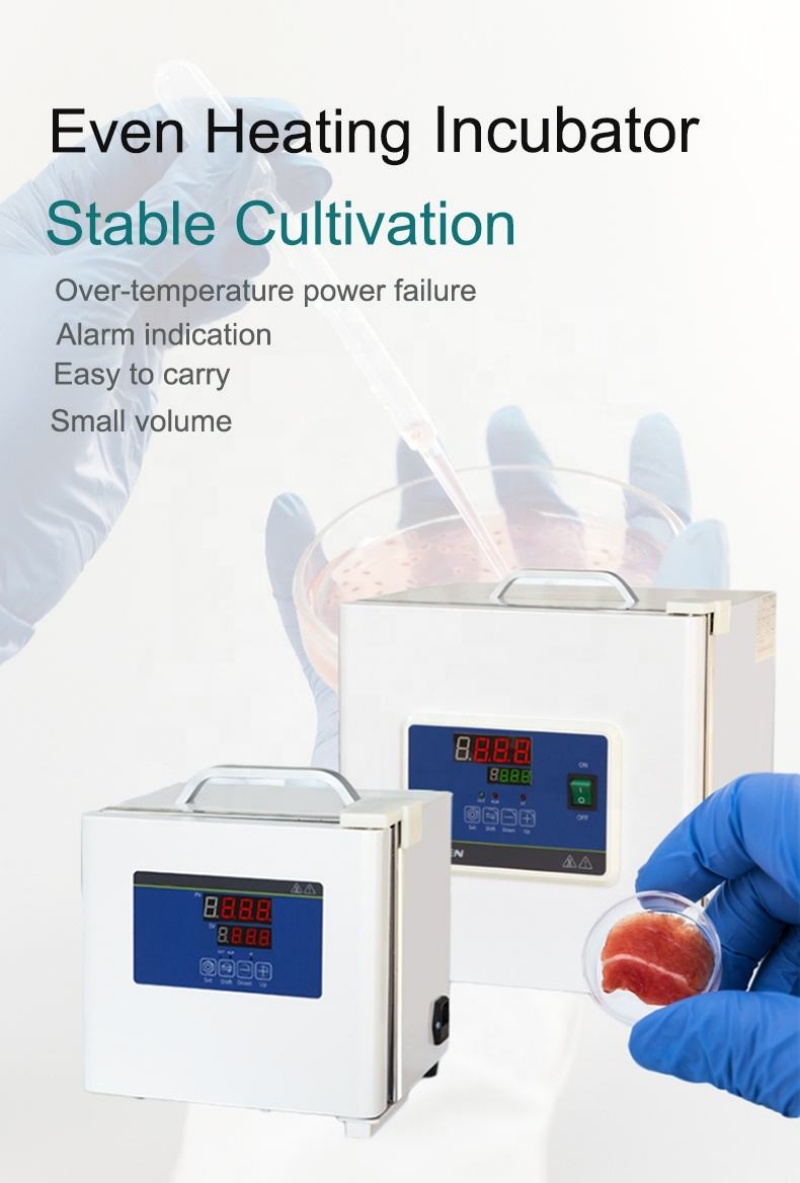WEIAI Lab Incubator Microbiolo - огляд і ціна Medical Lab Microbiology
