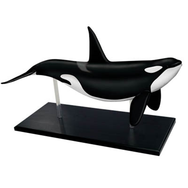 4D Vision Orca Whale Skeleton  - огляд і ціна Medical Lab Assistant